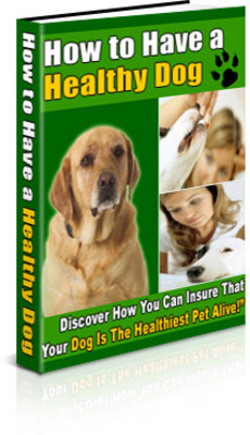 Product picture How to have a healthy dog
