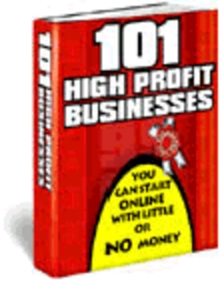 Product picture 101 high profit businesses