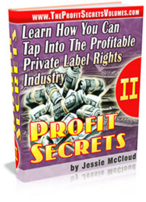 Product picture Profit Secrets 2